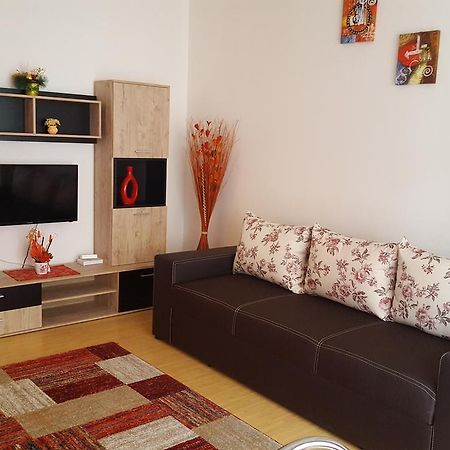 Apartament Maria Floreşti エクステリア 写真