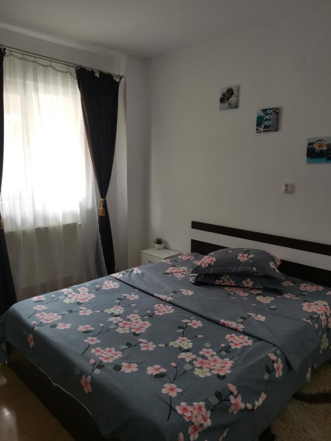 Apartament Maria Floreşti エクステリア 写真