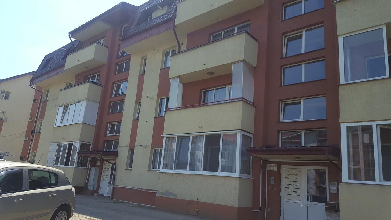 Apartament Maria Floreşti エクステリア 写真